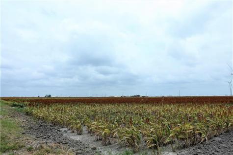 0000 Highway 181 Creek 1612 Creek 3567 Taft TX 78390