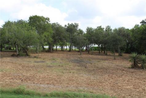 00 Lot 10 Vista Fina Drive Sandia TX 78383