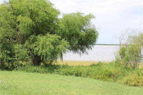 00 Lot 10 Vista Fina Drive Sandia TX 78383