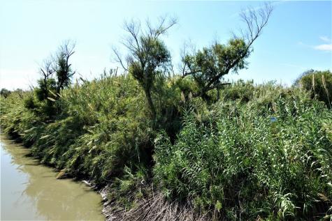 0000 County Road 2004 Taft TX 78390