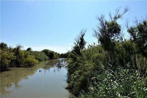 0000 County Road 2004 Taft TX 78390