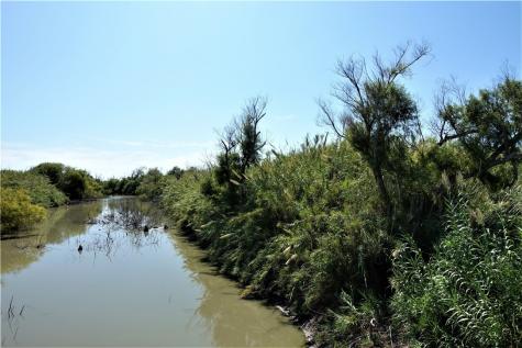 0000 County Road 2004 Taft TX 78390