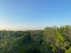 0 Creek 172 Other TX 77979