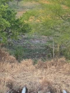 0 Creek 172 Other TX 77979