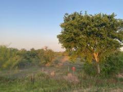 0 Creek 172 Other TX 77979